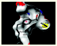 Arnold Group at UWM-Publications: Thyroid Receptor-Inhibitors of the Interaction of a Thyroid Hormone Receptor and Coactivators : Preliminary Structure-Activity Relationships 